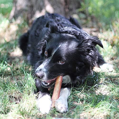 100% Natural Brazilian Bully Sticks - 1 lb Bag 10.00% Off Auto renew - Beau’s store