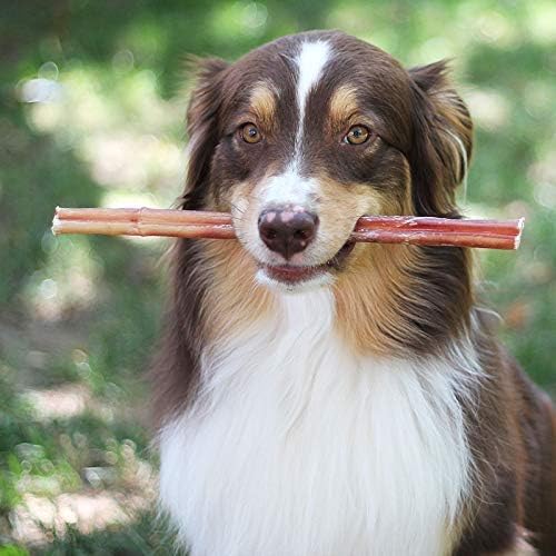 100% Natural Brazilian Bully Sticks - 1 lb Bag 10.00% Off Auto renew - Beau’s store