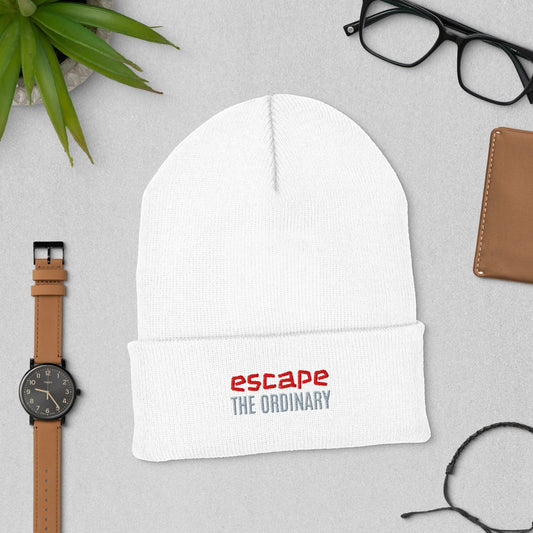 Cuffed Beanie - Beau’s store