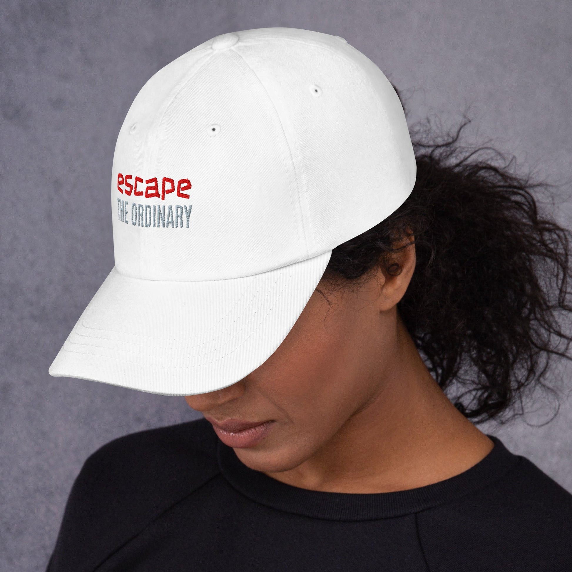 Dad hat - Beau’s store