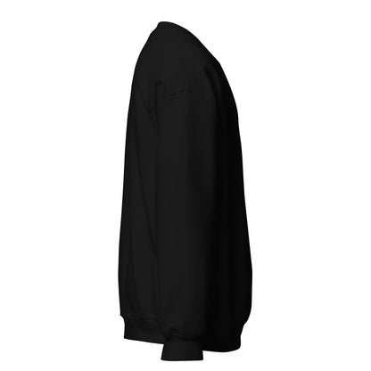 Unisex Sweatshirt - Beau’s store